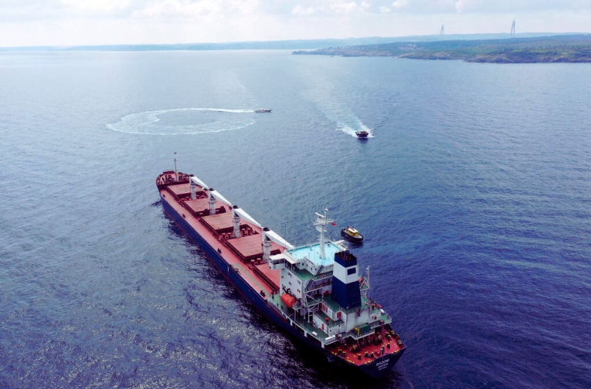 Ukrainian Grain Association: Officials have blocked the operation of the Ukrainian maritime corridor