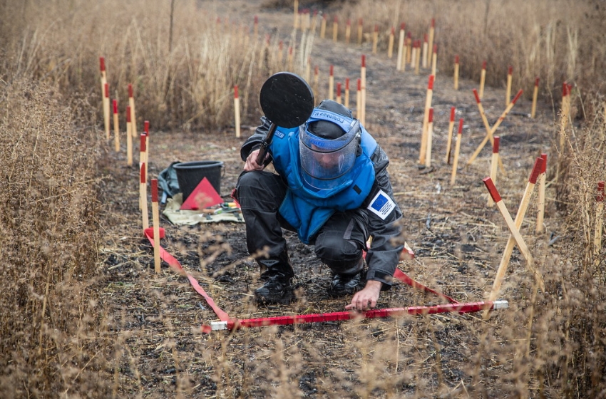 Demining: Over 200,000 hectares of agricultural land have been returned to use since the beginning of the year