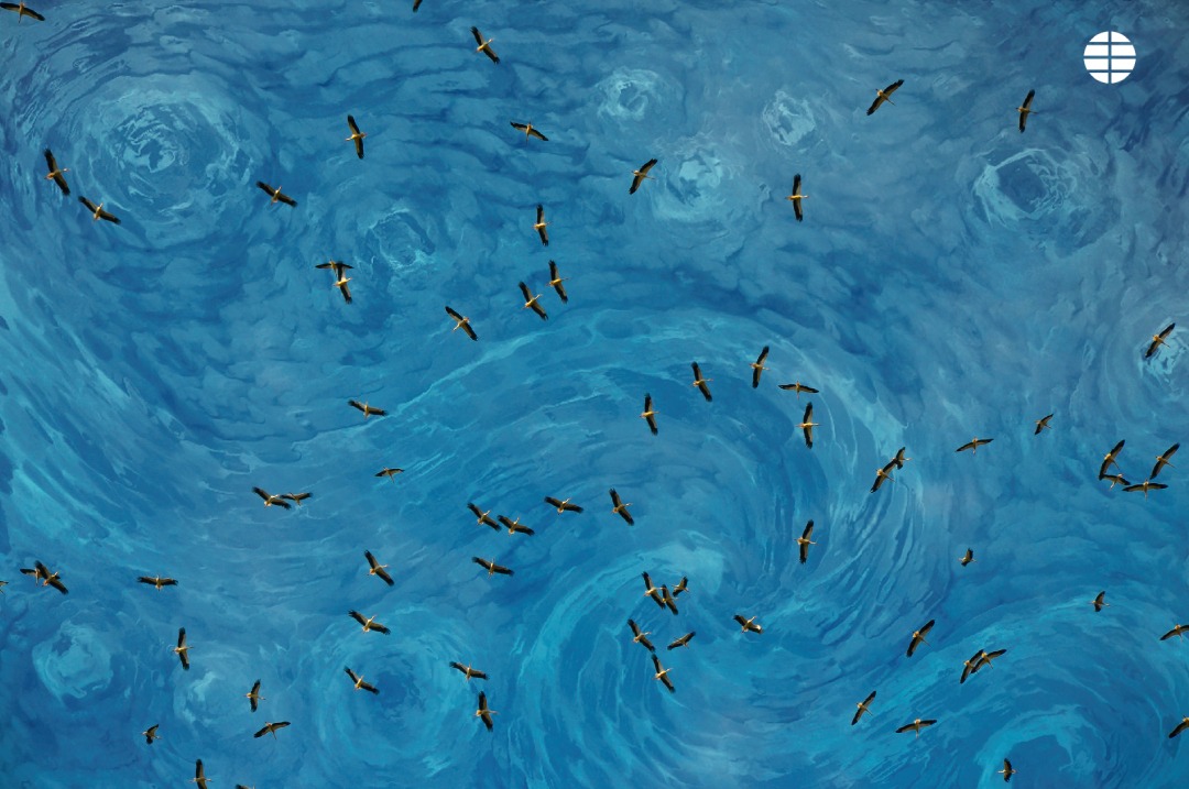 Birds over Polissia: a photo in the style of Van Gogh recognized by the Spanish newspaper El Mundo as one of the best in 2023