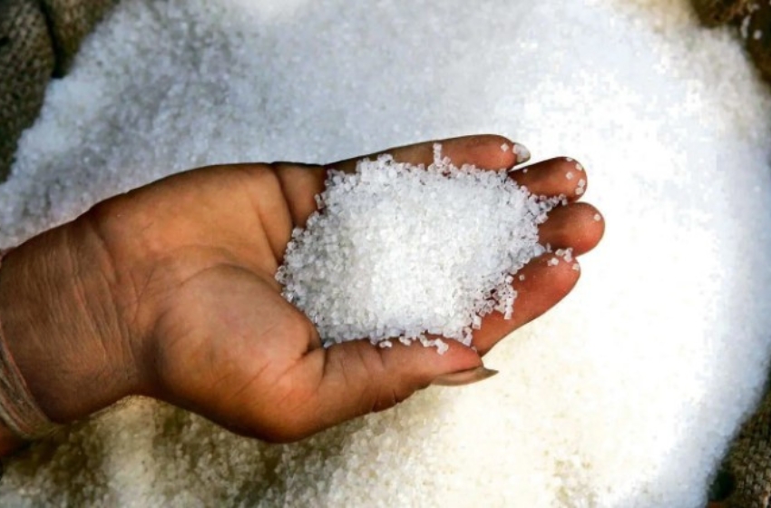 In March, Ukraine exported 20% of its sugar volumes to African countries