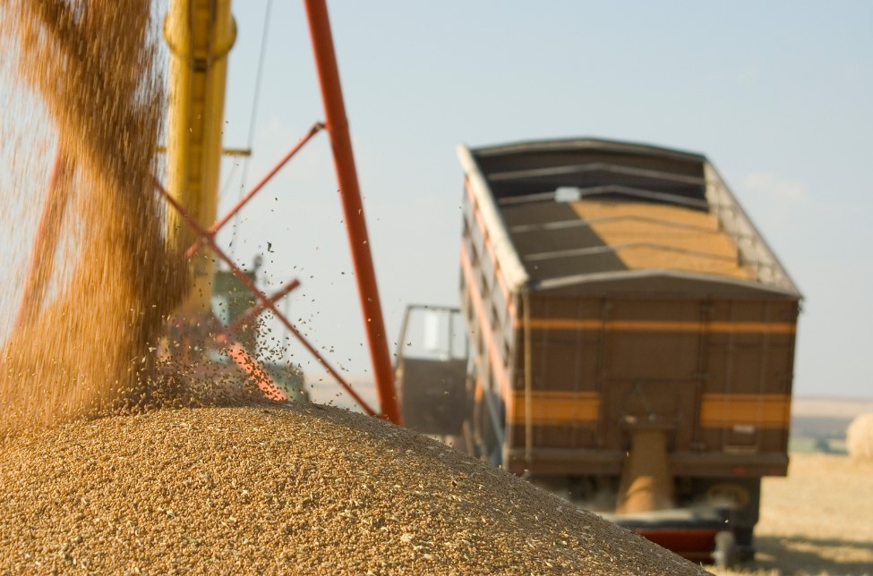 Moldova has lifted sanitary control for transit of grain from Ukraine