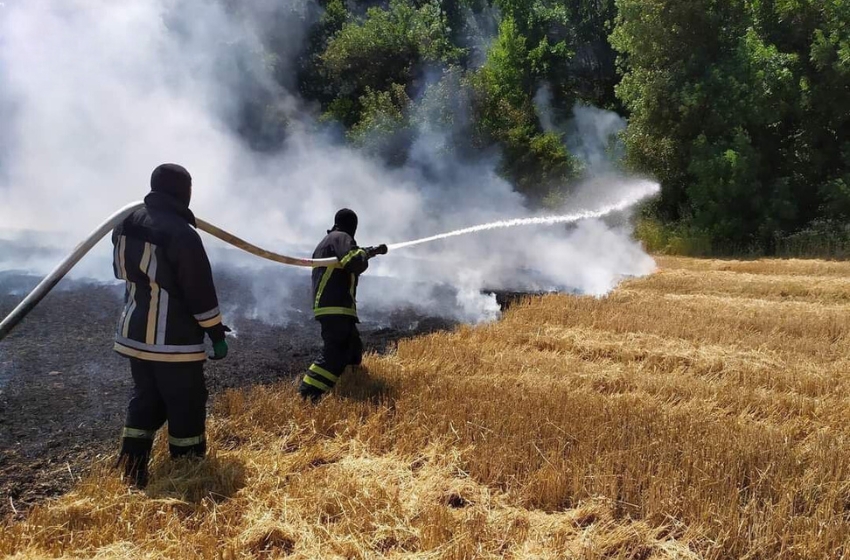 Russia is targeting FPV drones at Ukrainian fields to burn the crops of Ukrainian farmers