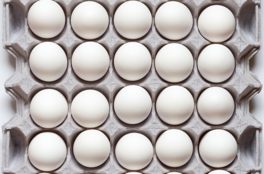 Bulgaria wants to ban the import of eggs from Ukraine due to a fivefold increase in supplies.