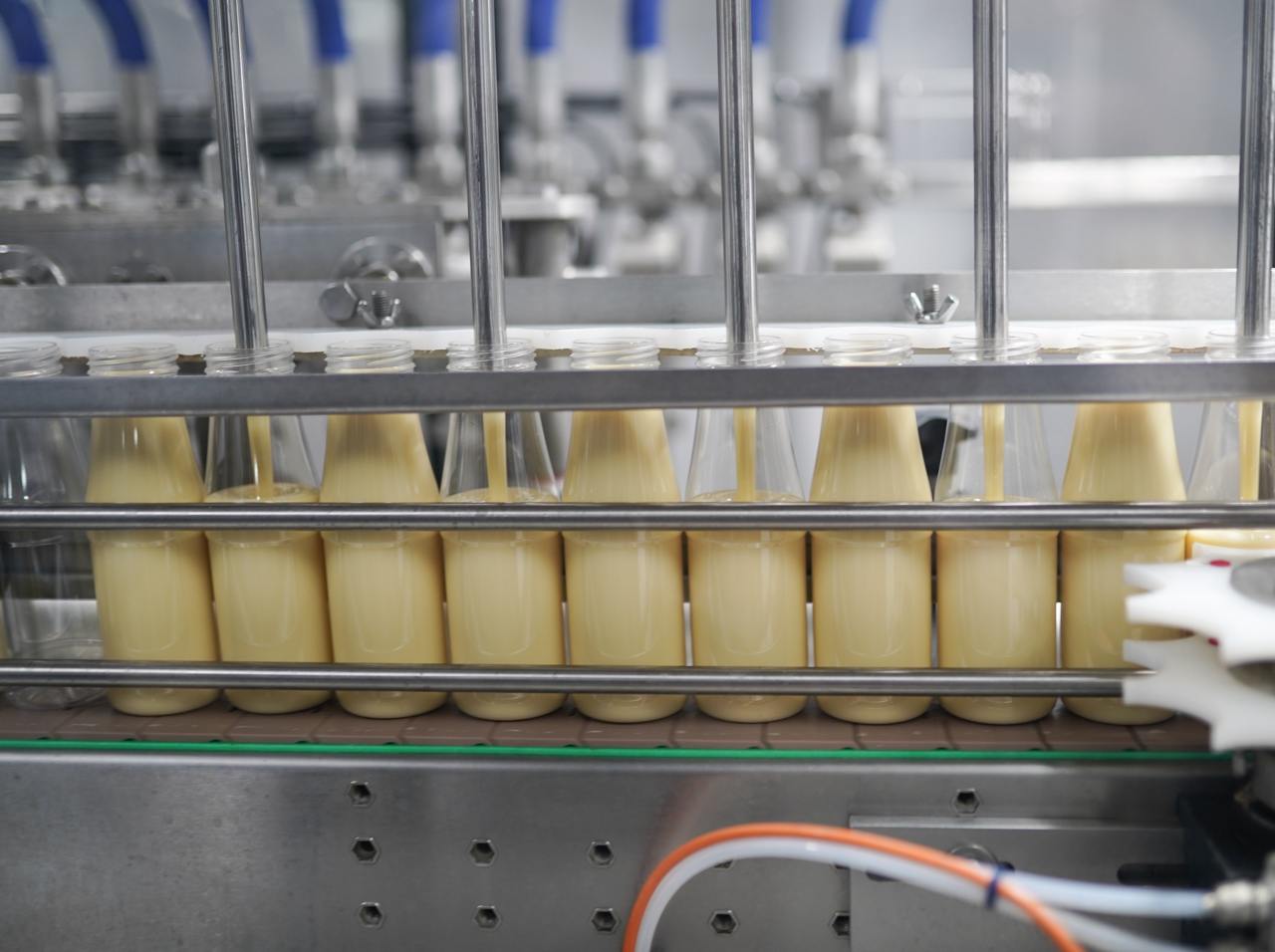 The Ichnya Condensed Milk Company has raised 150 million UAH for cheese production