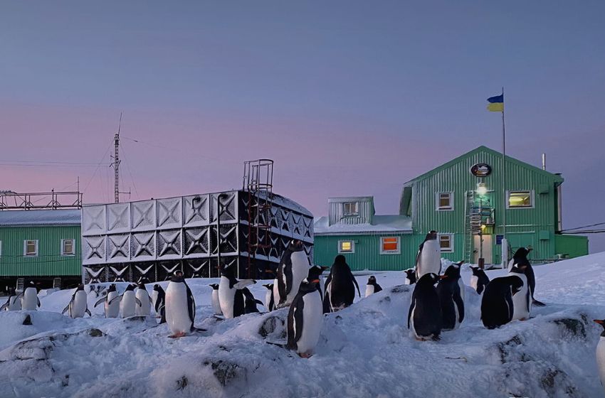 Ukrainian polar explorers will conduct an online tour of the Vernadsky Research Base