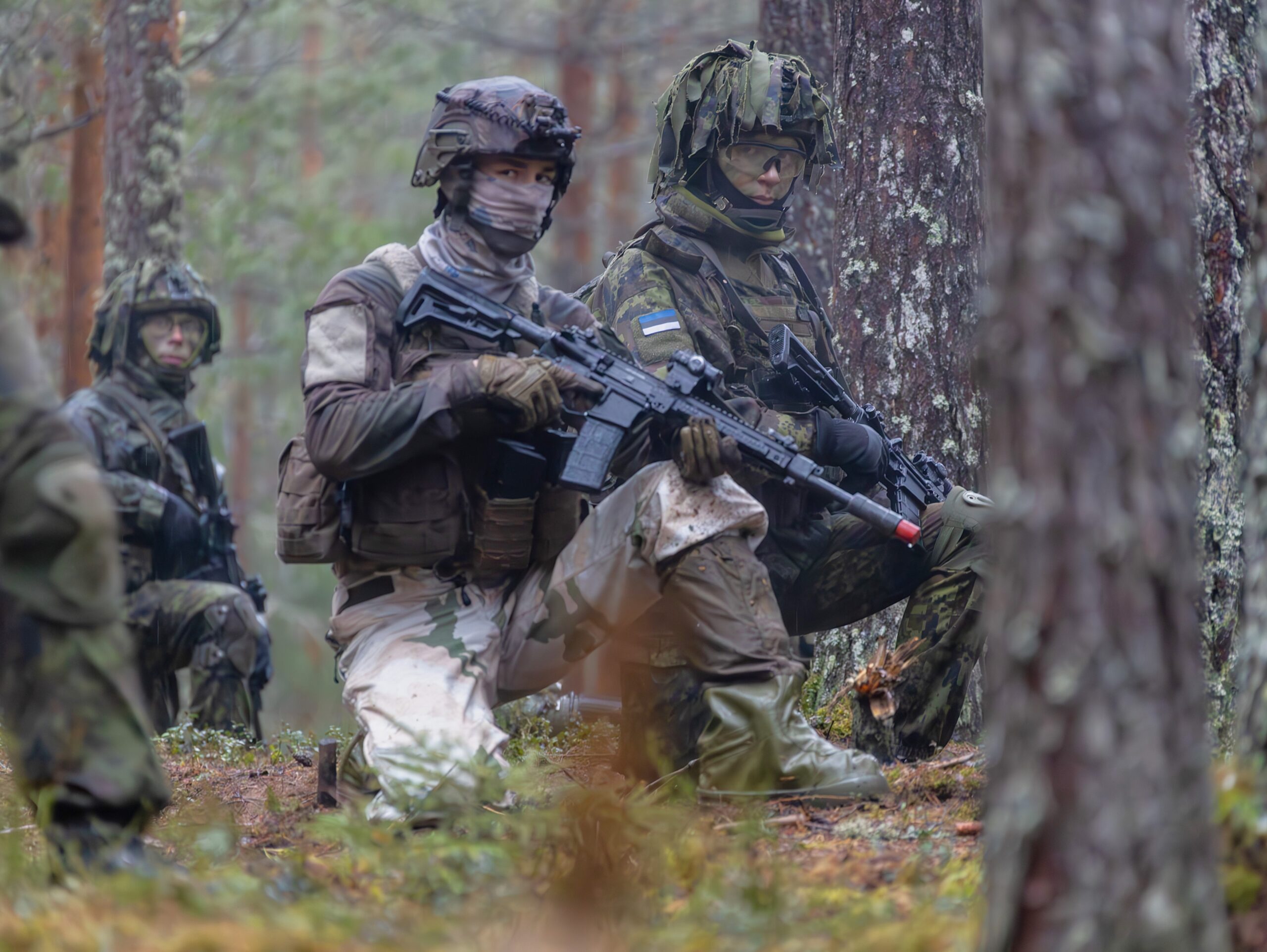 Two-week NATO exercises have begun in Estonia