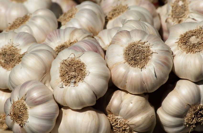 Ukraine meets only 30% of its own garlic consumption needs