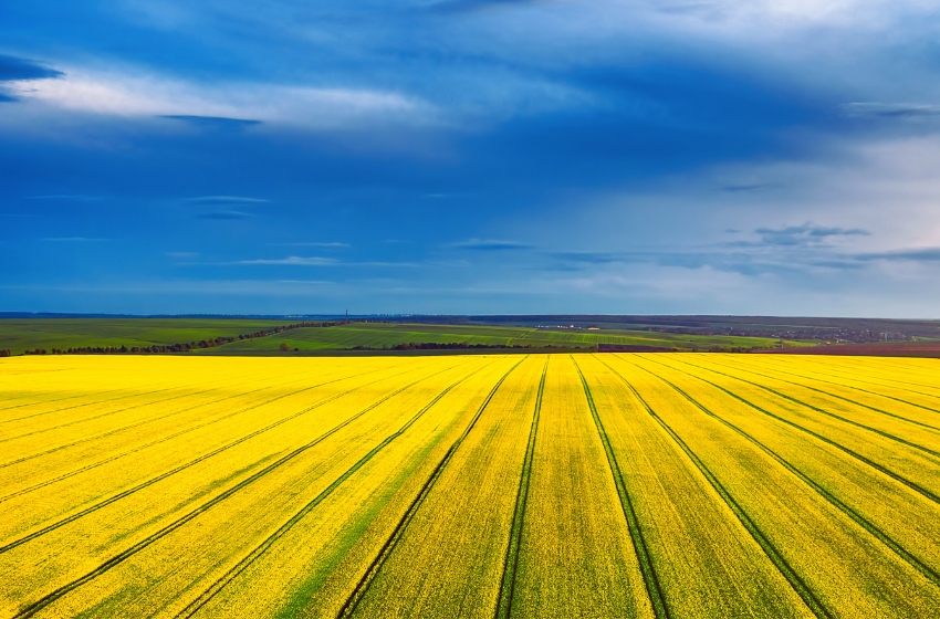 Ukraine’s Agricultural market outlook 2024 presented by Ministry of Agrarian Policy and UCAB