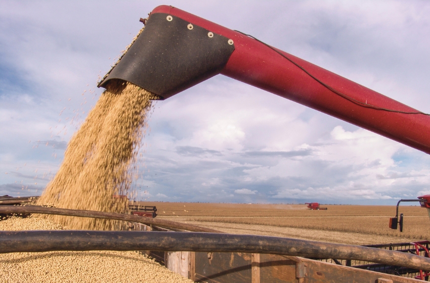 Pakistan has entered the top 3 importers of Ukrainian soybeans, while Egypt has dropped out