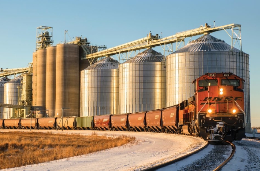 The unloading of grain wagons in the ports of Odessa increased by 15%