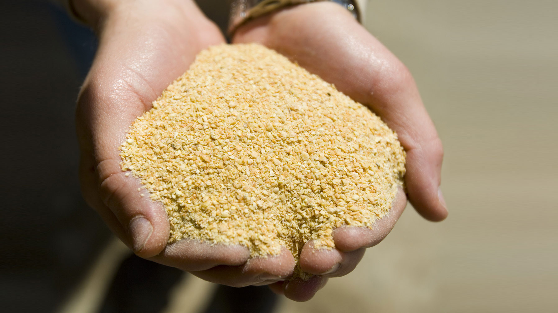 Ukraine has entered the top three largest suppliers of soybean meal to the EU