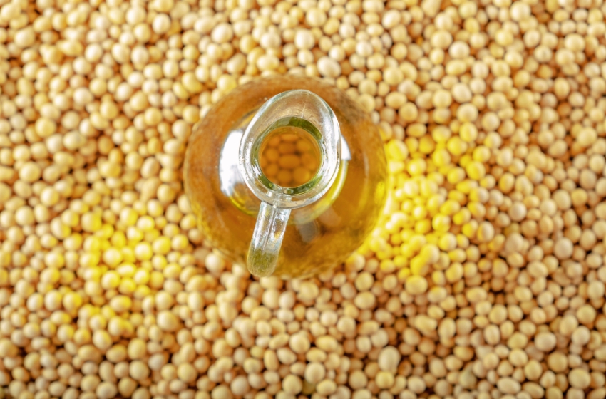 Ukraine's soybean oil exports have set a new record.