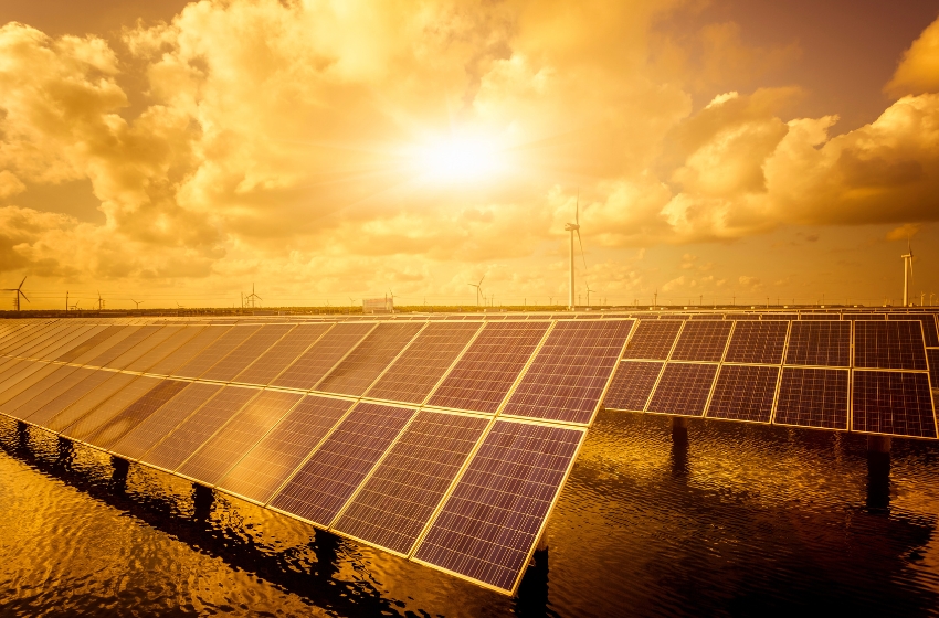 The Ukrainian Agri-Voltaics Association is launching a strategic partnership with Germany’s IAK Agrar Consulting GmbH