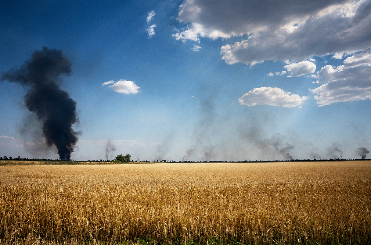 Direct damage to Ukraine’s agricultural sector from the war exceeds $11 billion