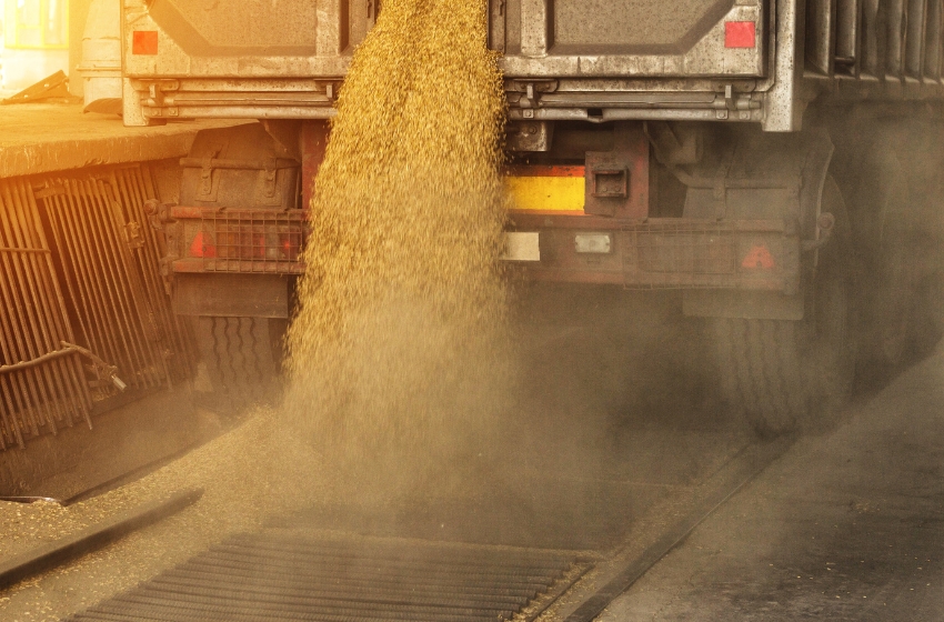 Ukraine to build two grain processing plants for flour and groats in 2025