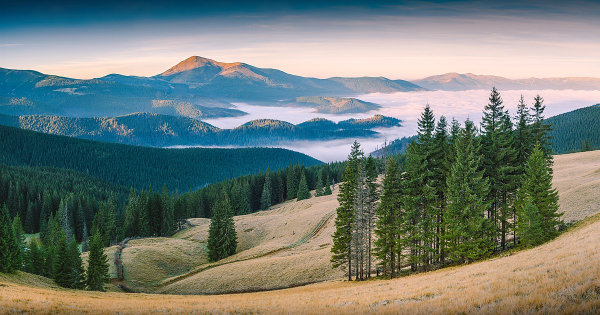 A New industrial hub is emerging in Ukraine: Zakarpattia region on the rise