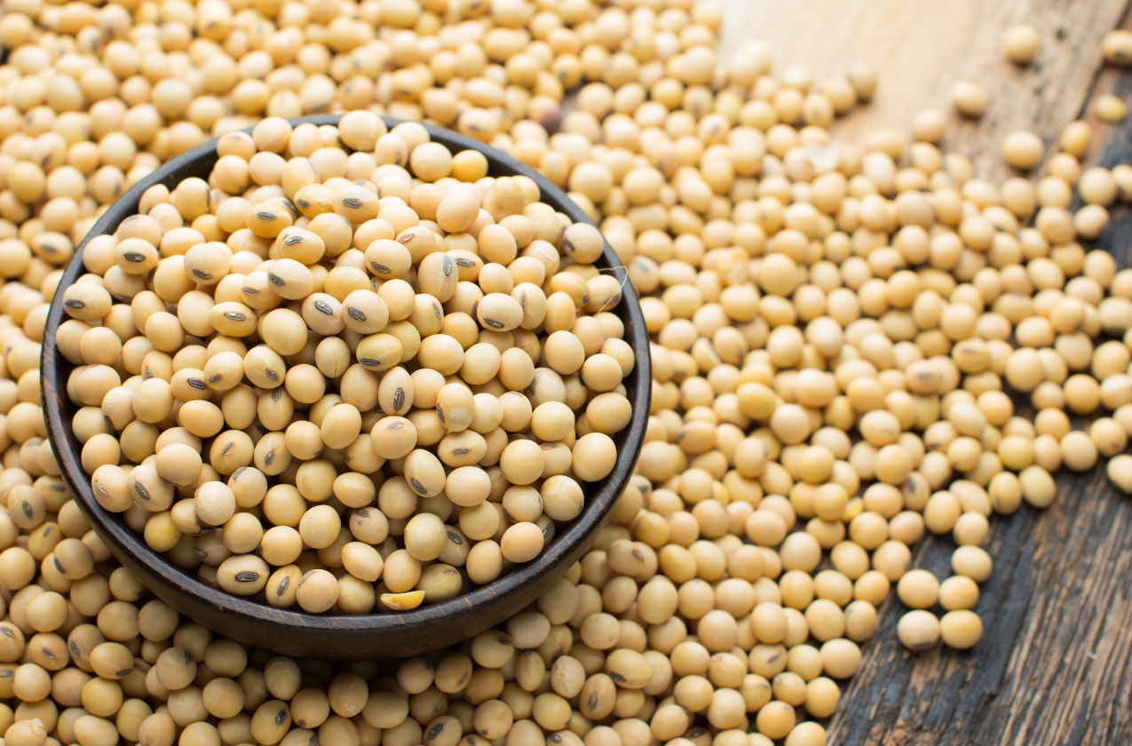 Ukraine may lose up to UAH 670 million due to tariffs on soy and rapeseed