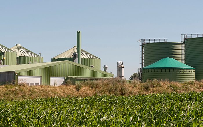 Ukrainian producers have supplied over 5 million cubic meters of biomethane to the gas transmission system