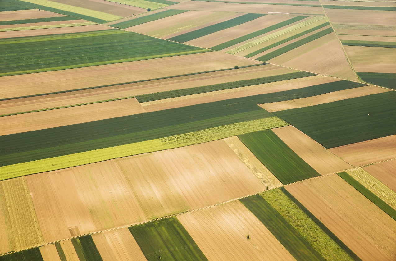 Vinnytsia region ranks first in competition at land auctions