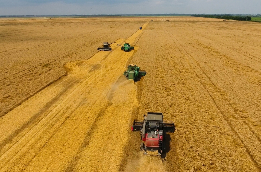 USDA lowered the forecast for Ukraine’s wheat harvest and exports
