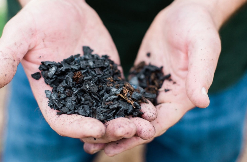 A British company is investing in biochar production in the Rivne region