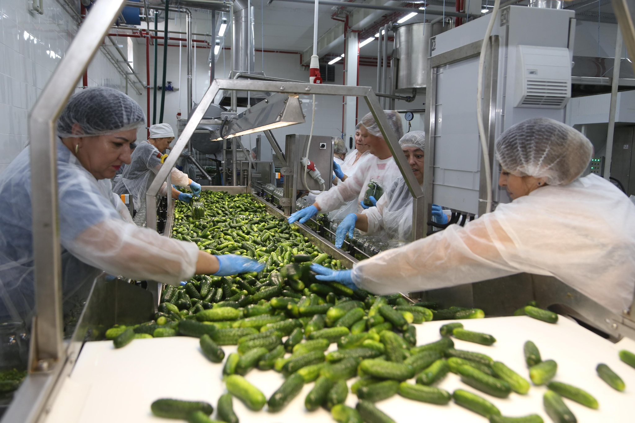 Made in Ukraine: New factory begins producing 650 tons of canned goods