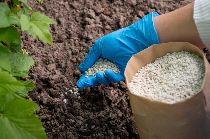 Ukrainian farmers warn of food crisis amid fertilizer import shortages