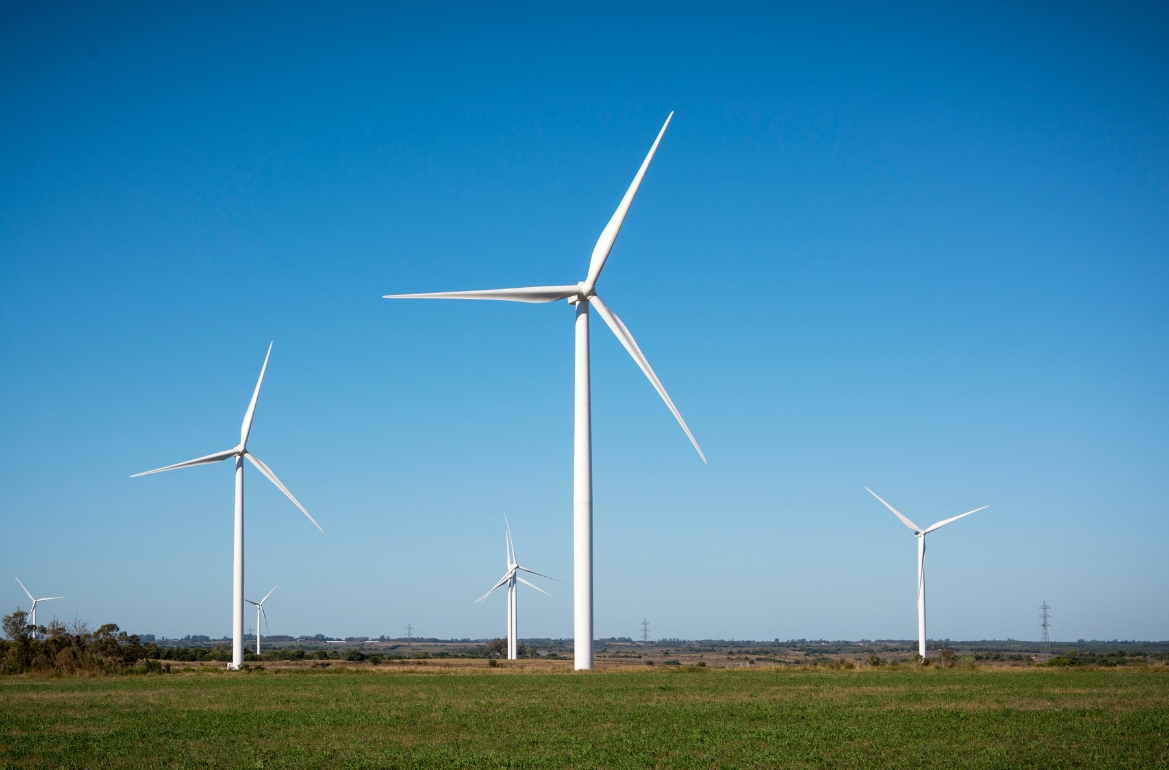 A German investor will build a 400 MW wind power plant near Kyiv