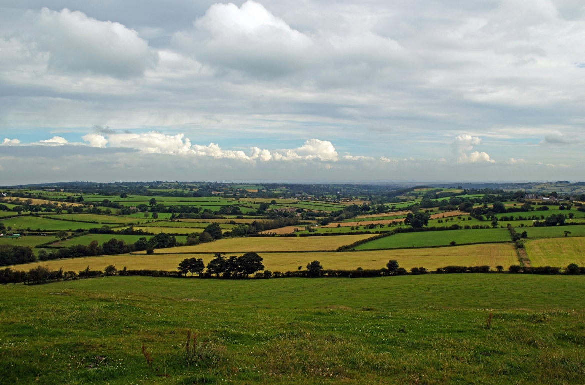 The average rental cost of state-owned land is about 11,000 UAH per hectare