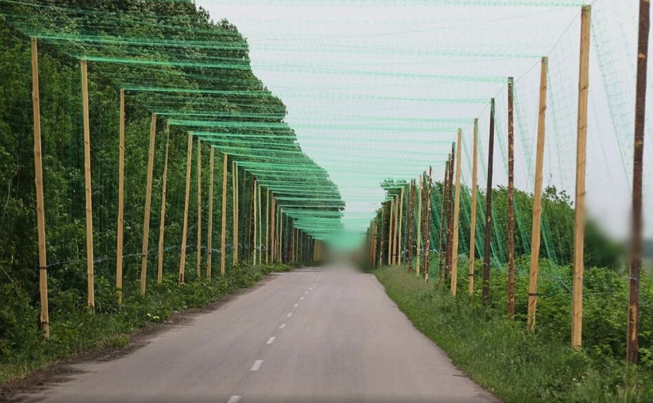 In Zaporizhzhia region, 100 kilometers of anti-drone tunnels will be built by the end of the year