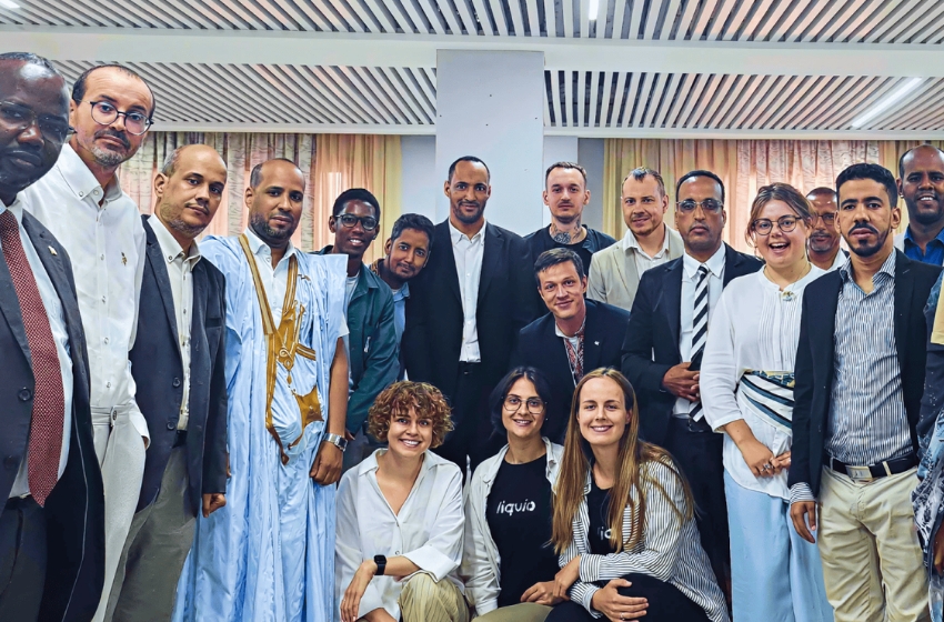 Mauritania bulids E-Gov service with Ukrainian support