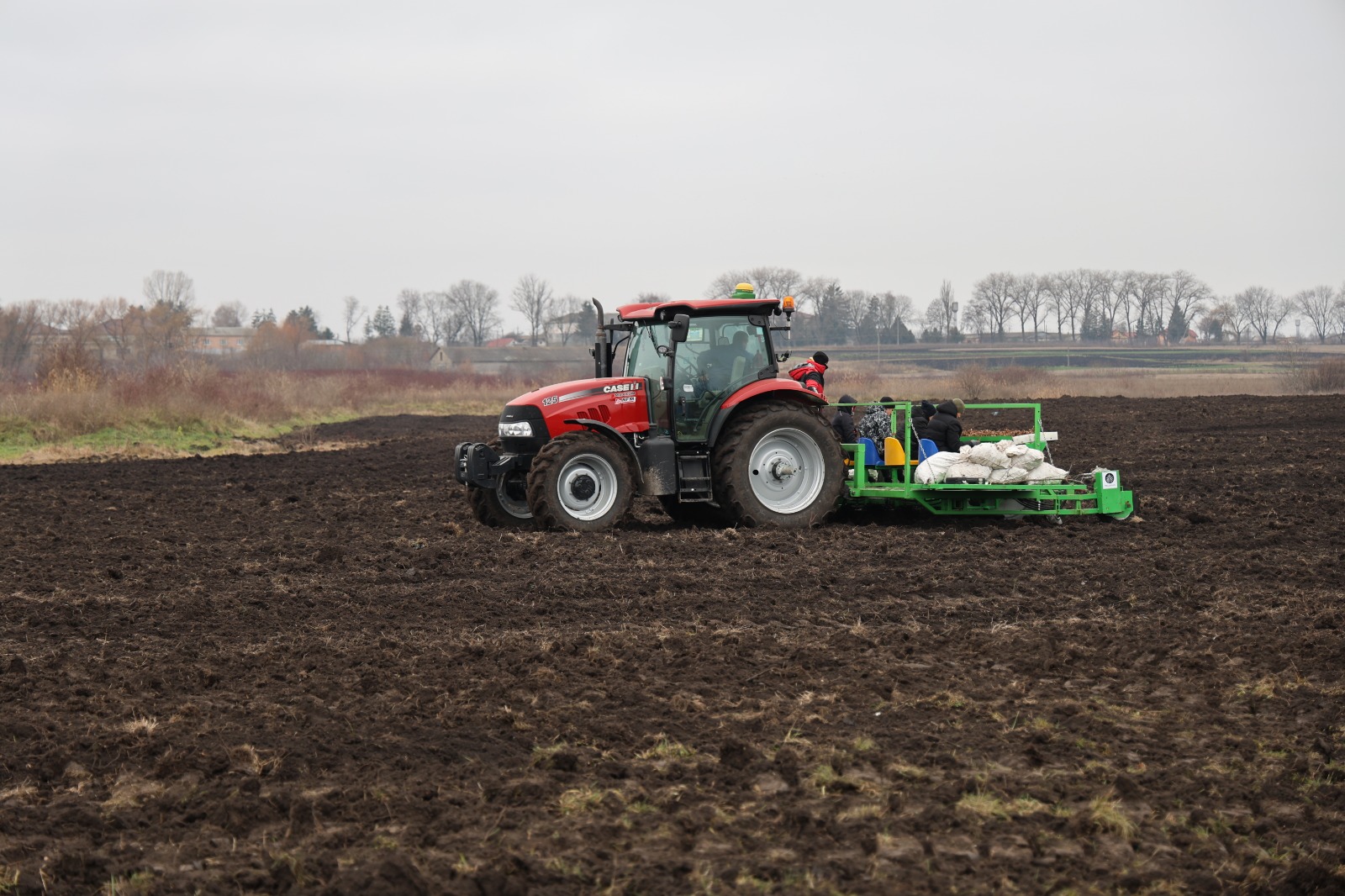 Ukraine plants first miscanthus plantation to restore degraded land and produce eco-friendly biofuel