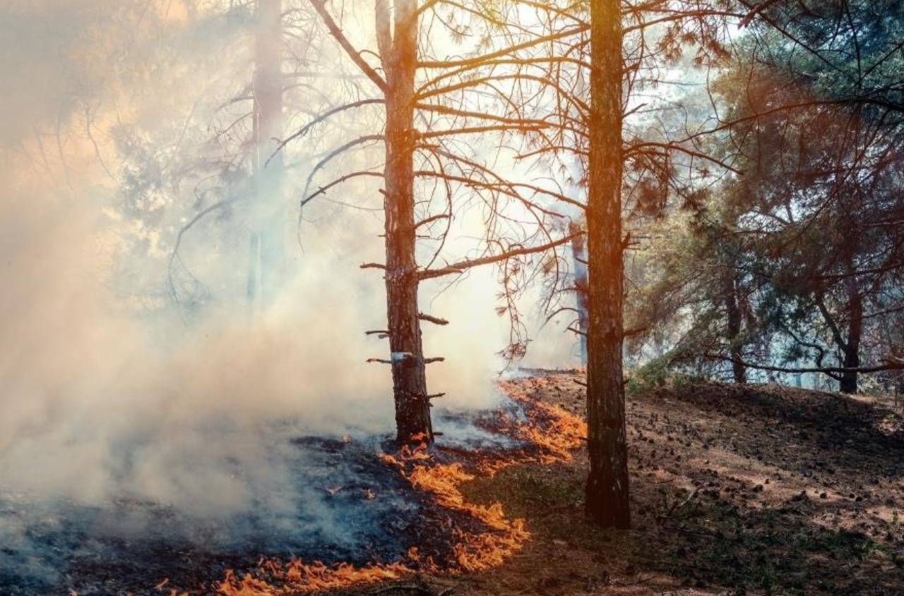 Military actions cause nearly UAH 1.3 trillion in damage to Ukrainian soils