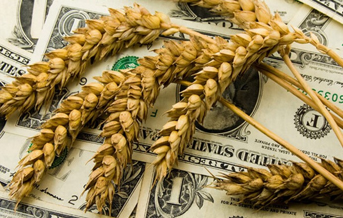 Ukraine’s agricultural exports reached $22.5 billion, while the EU’s share is declining