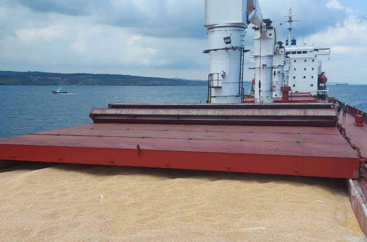 Ukrainian seaports have achieved over 95% of their cargo handling plan for the year