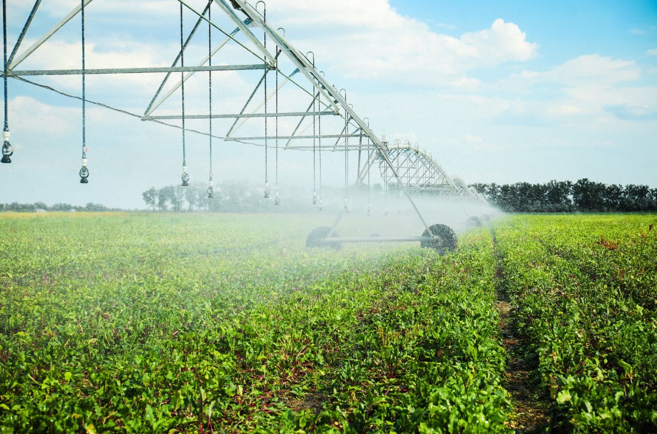 Ukraine launches hydraulic land reclamation project with U.S. support