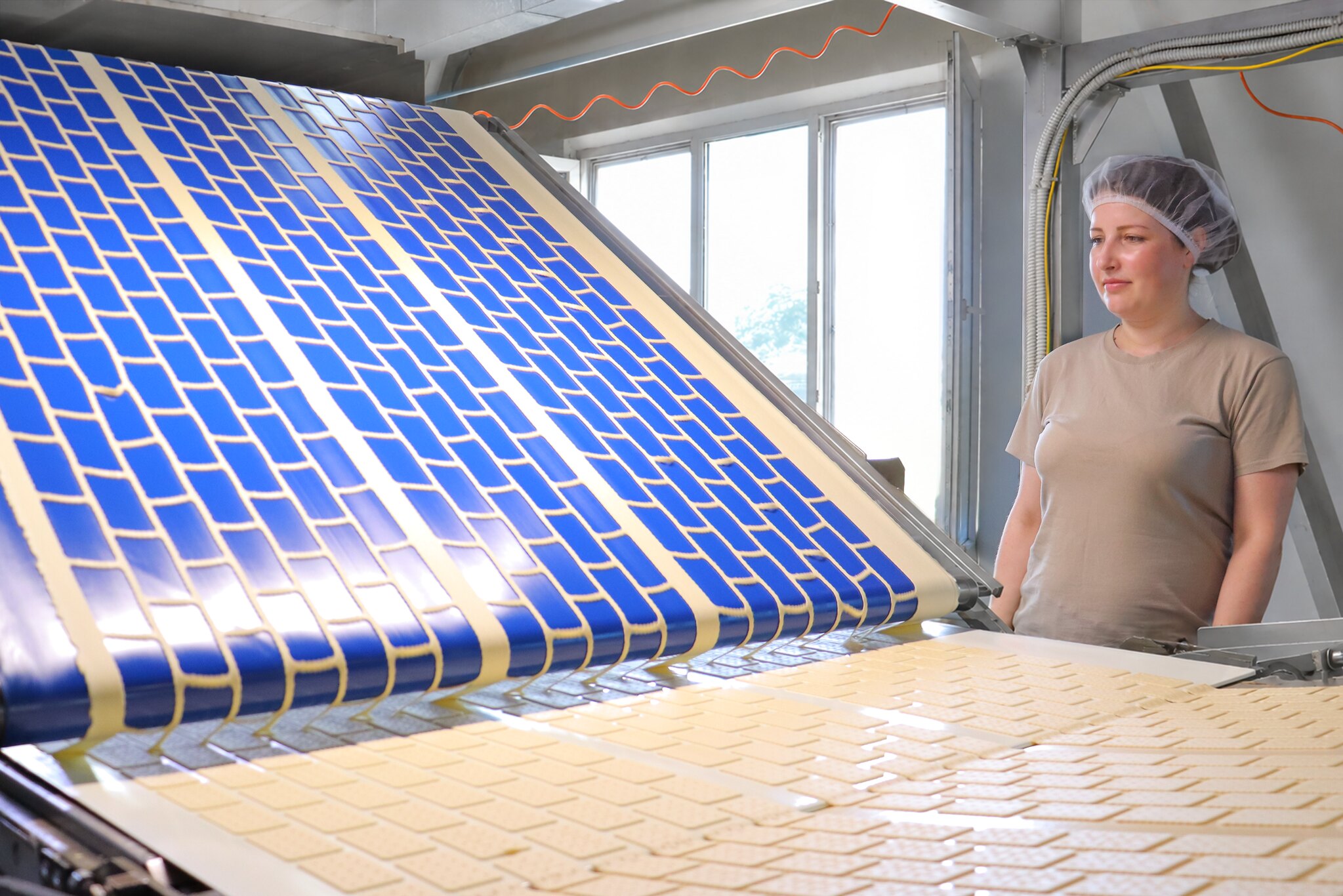 Norwegian Norfund invests $10 million in Ukrainian biscuit producer