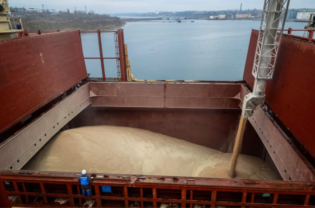 Demand for Ukrainian wheat remains stable as exporters redirect shipments through Danube ports