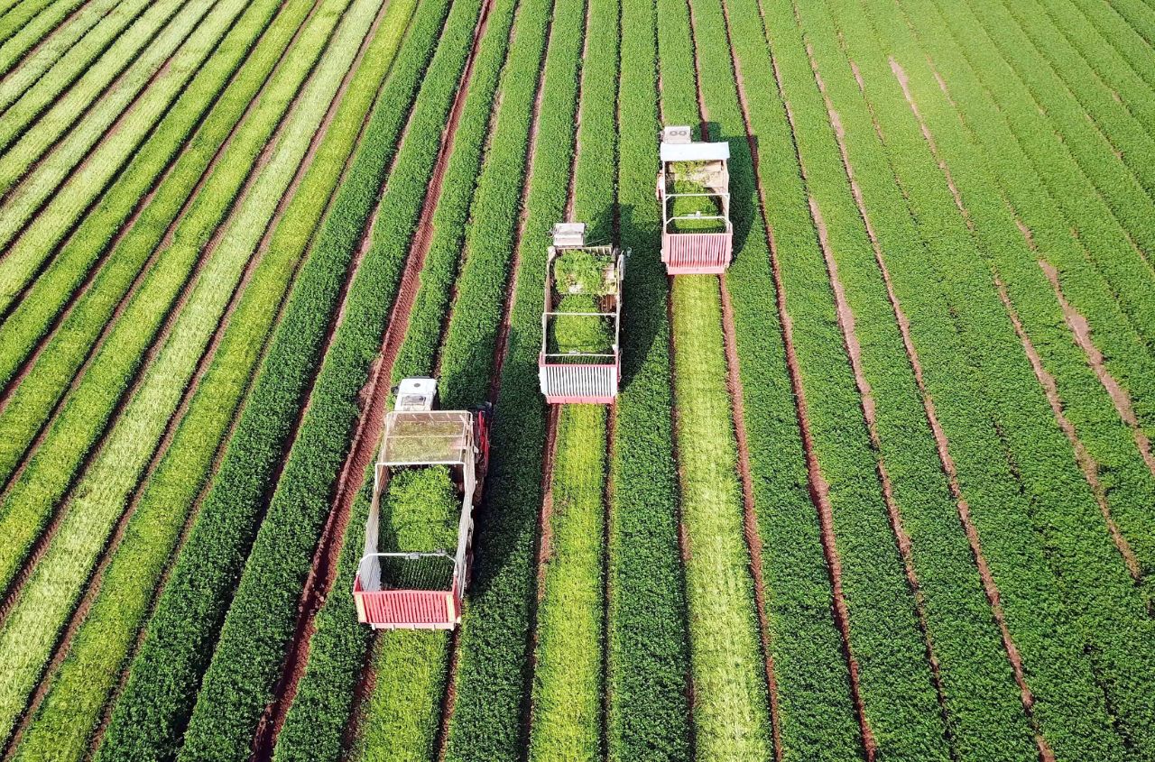 CIHEAM Bari opens call for agricultural input suppliers in Ukraine