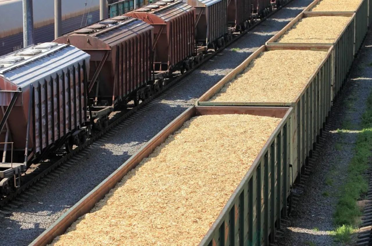 Ukrainian Railways increases grain transportation by 5.4% in first nine months of 2026