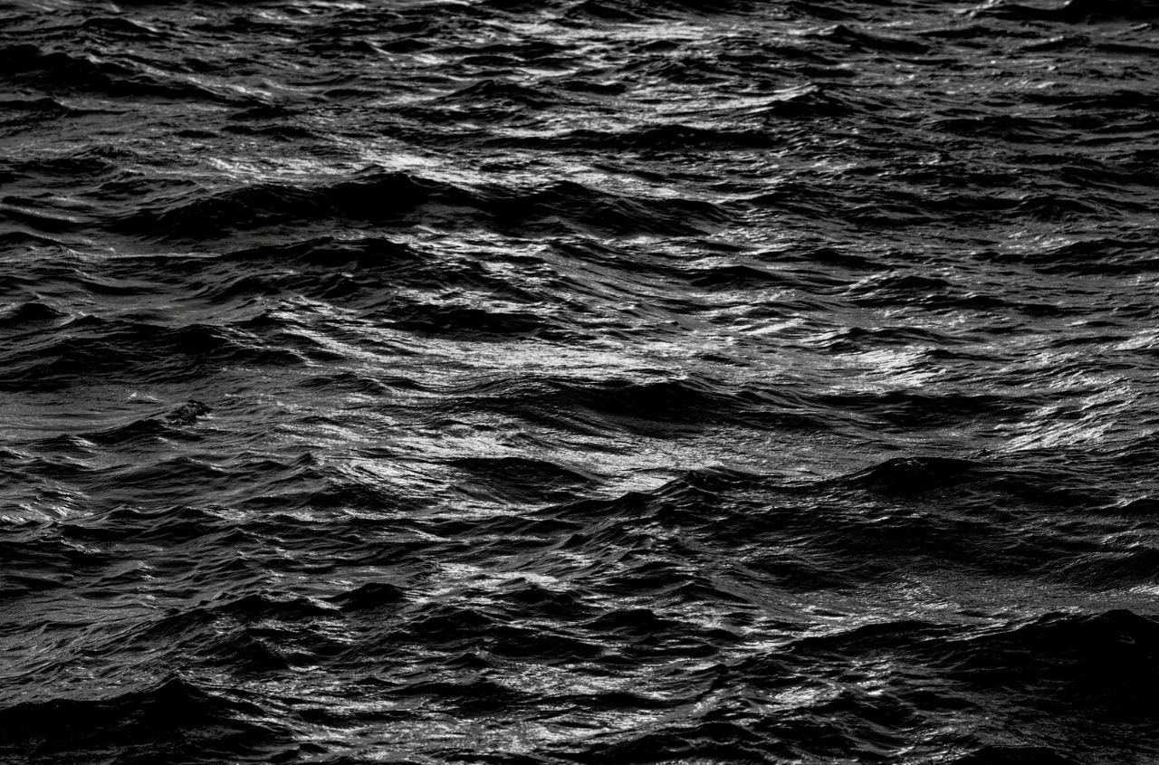 Ukraine blocks Russia from chairing Black Sea pollution commission